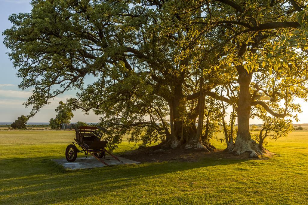 Las Martinas Colonia del Sacramento Exterior photo